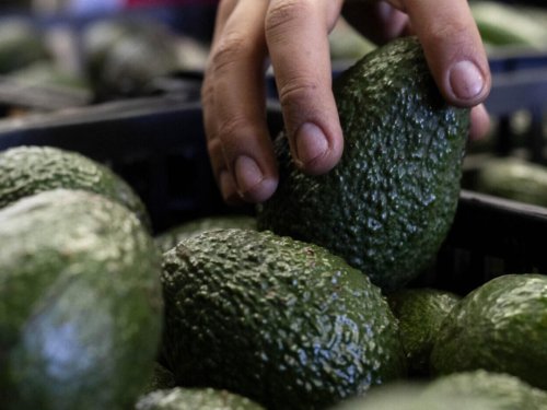 Mexico and California define the avocado supply in the United States