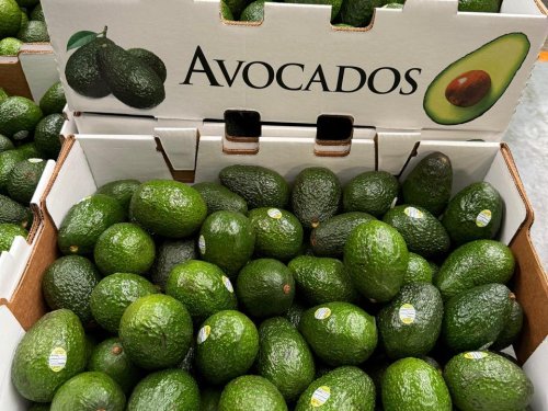 Baika Mexico and its commitment to a sustainable avocado