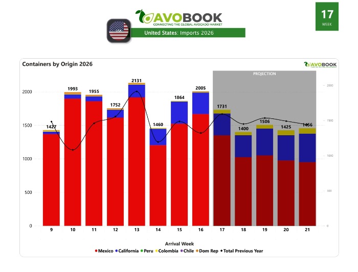 Avocado imports in the USA
