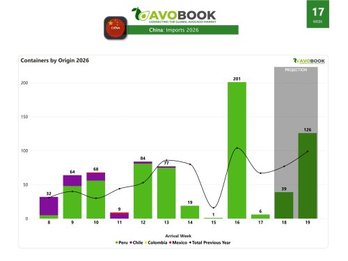 China receives 6 shipments of avocados and prices fall 19%