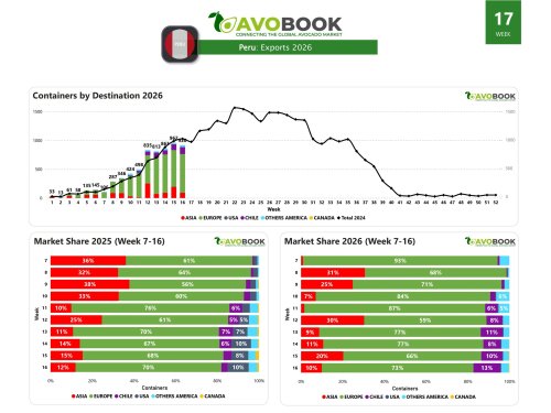 Peruvian avocado prices fall 10% compared to 2025
