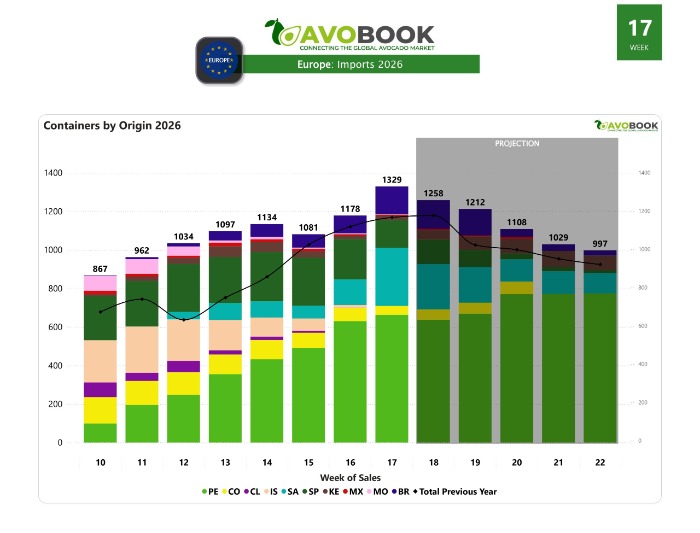 Importación aguacate a Europa