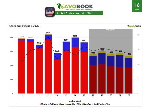 US adjusts avocado shipments, but exceeds 2025 levels