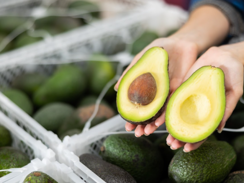 Europa recibe 14,6% más aguacate en los que va del 2026