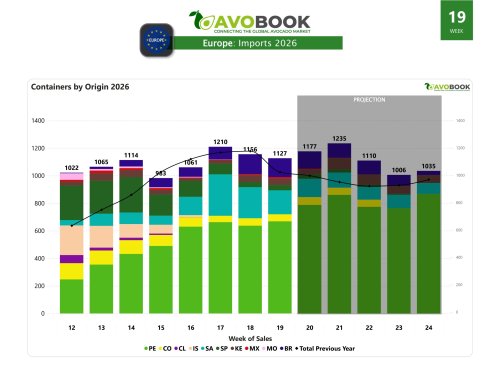 Europa baja 3% en volumen de aguacate, pero supera a 2025