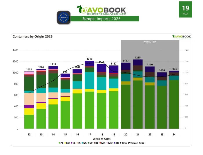 Importación aguacate Europa