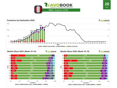 Peru sends 1,126 shipments and allocates 72% of its fruit to Europe
