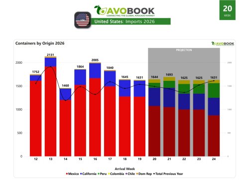 Consumption drives up avocado prices in the US