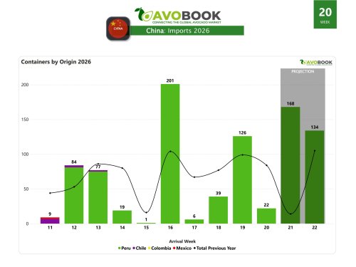 Avocado arrivals to China fall 83% in week 20