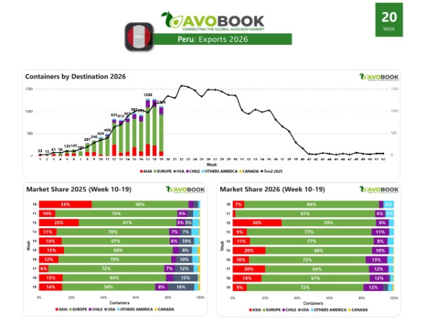 Peruvian avocado exports