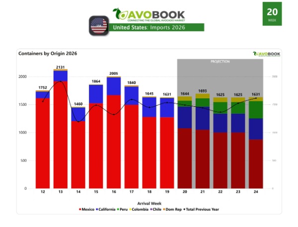 Avocado imports from the USA
