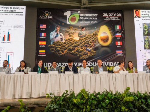 Congreso del Aguacate Jalisco 2026 reunió a la industria