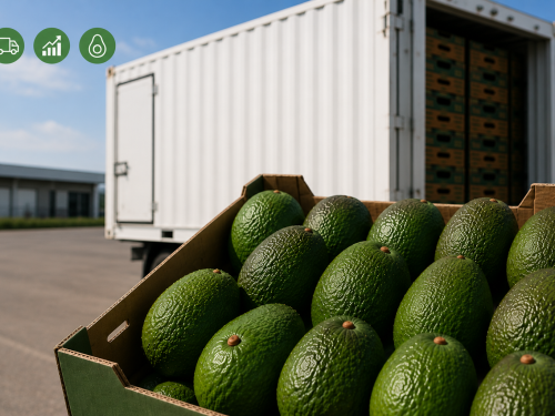Perú duplica sus envíos de aguacate a Chile