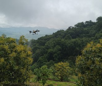 Baika Colombia apuesta por polinización asistida en 450 hectáreas
