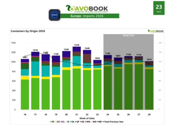 Importación aguacate Europa