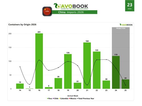 Importaciones de aguacate en China caen un 70% semanal