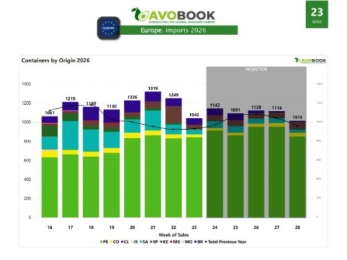 Importaciones de aguacate en Europa caen 17%, pero superan a 2025