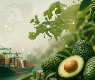 Mercado europeo del aguacate: precios, importaciones y tendencias