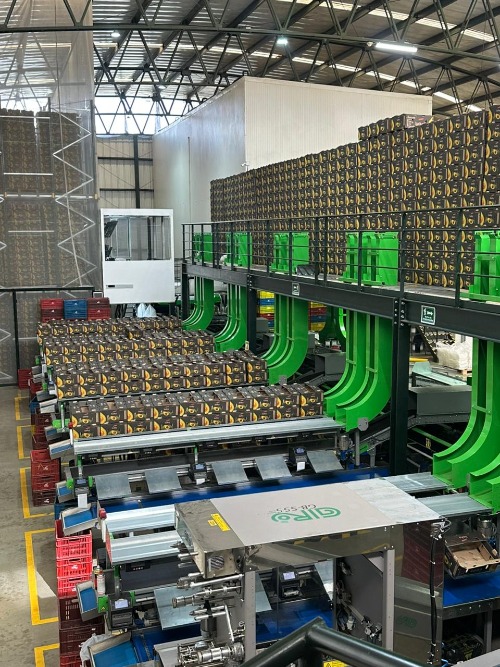 Nueva planta de empaque de aguacate para exportación de Baika Colombia en el municipio de El Retiro, Antioquia.