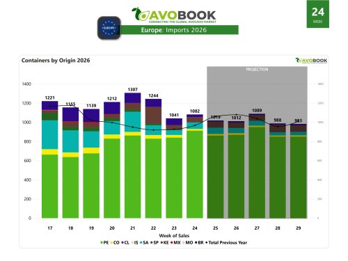 Peruvian origin consolidates its dominance in the European market