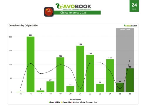Avocado prices in China show slight improvement, but remain below 2025 levels.