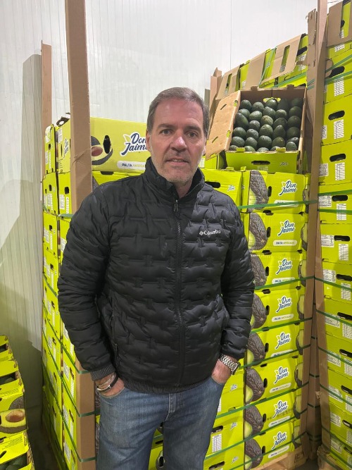 Miguel Bauza, representative of Don Jaime, posing alongside export avocado pallets destined for the Argentine market.