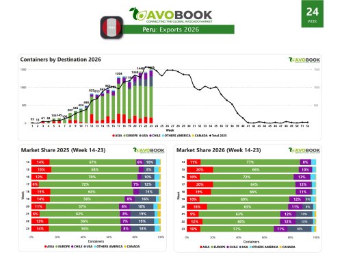 Perú alcanza récord de despachos semanales con foco en Europa
