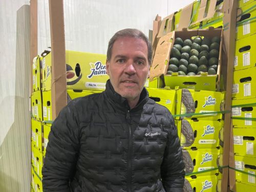 Miguel Bauza: "El mercado argentino elige el aguacate chileno"
