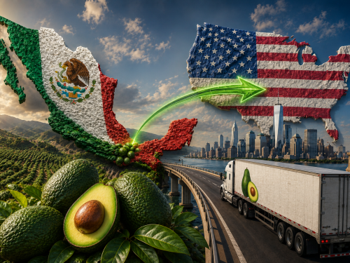 México consolida su dominio en el mercado de EE. UU.