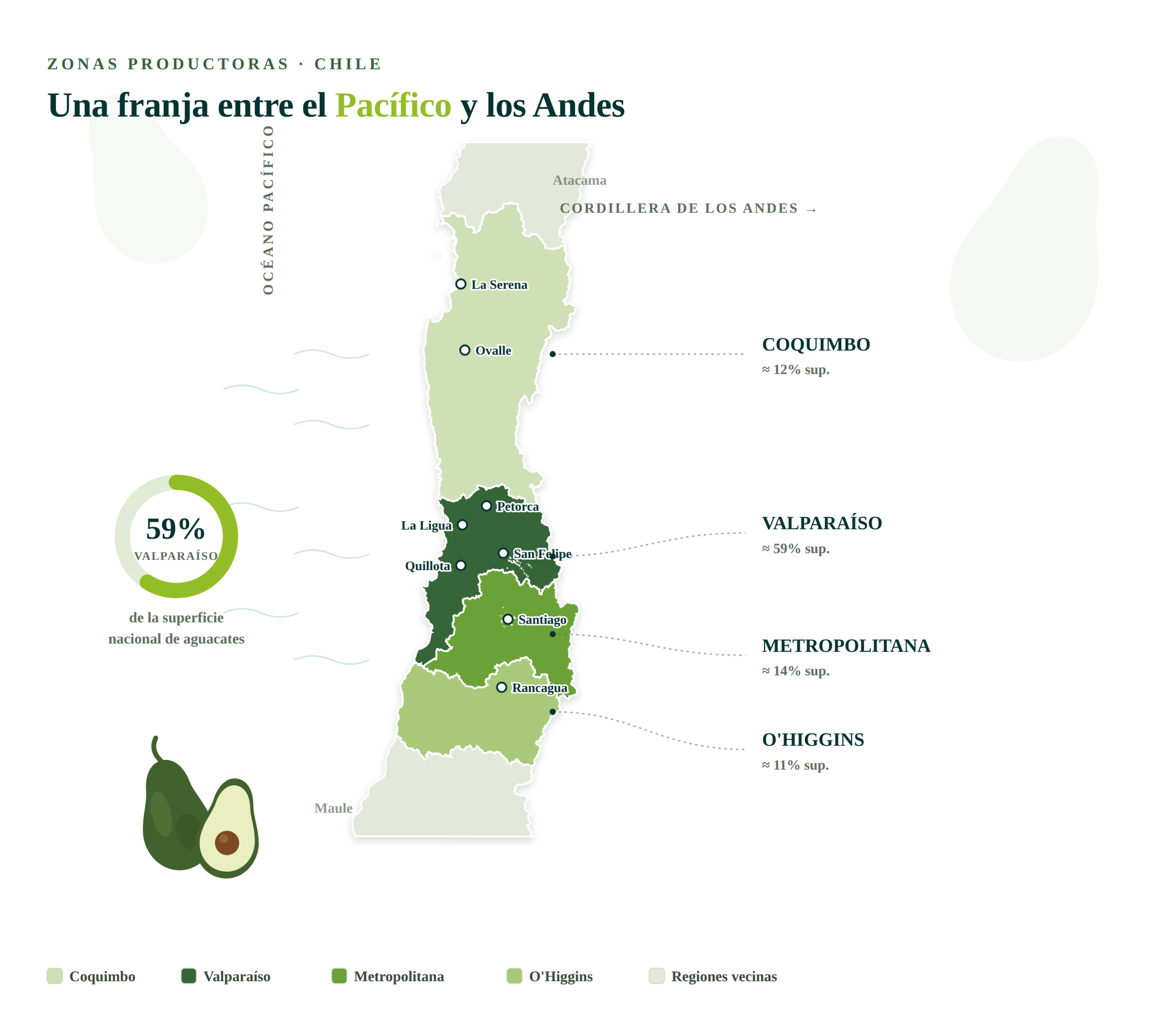 Zona geógrafica aguacate Chile