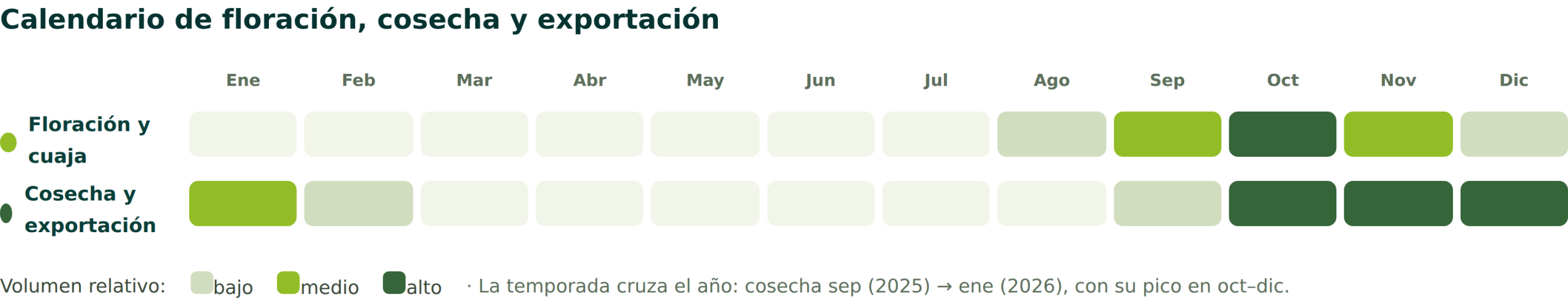 Fecha de cosecha y producción aguacate chile