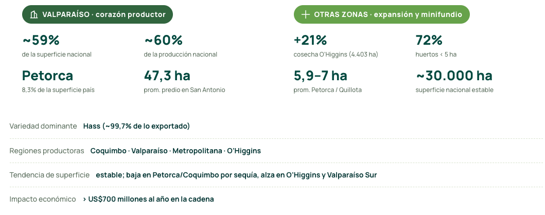 Productores y áreas por zona aguacate Chile