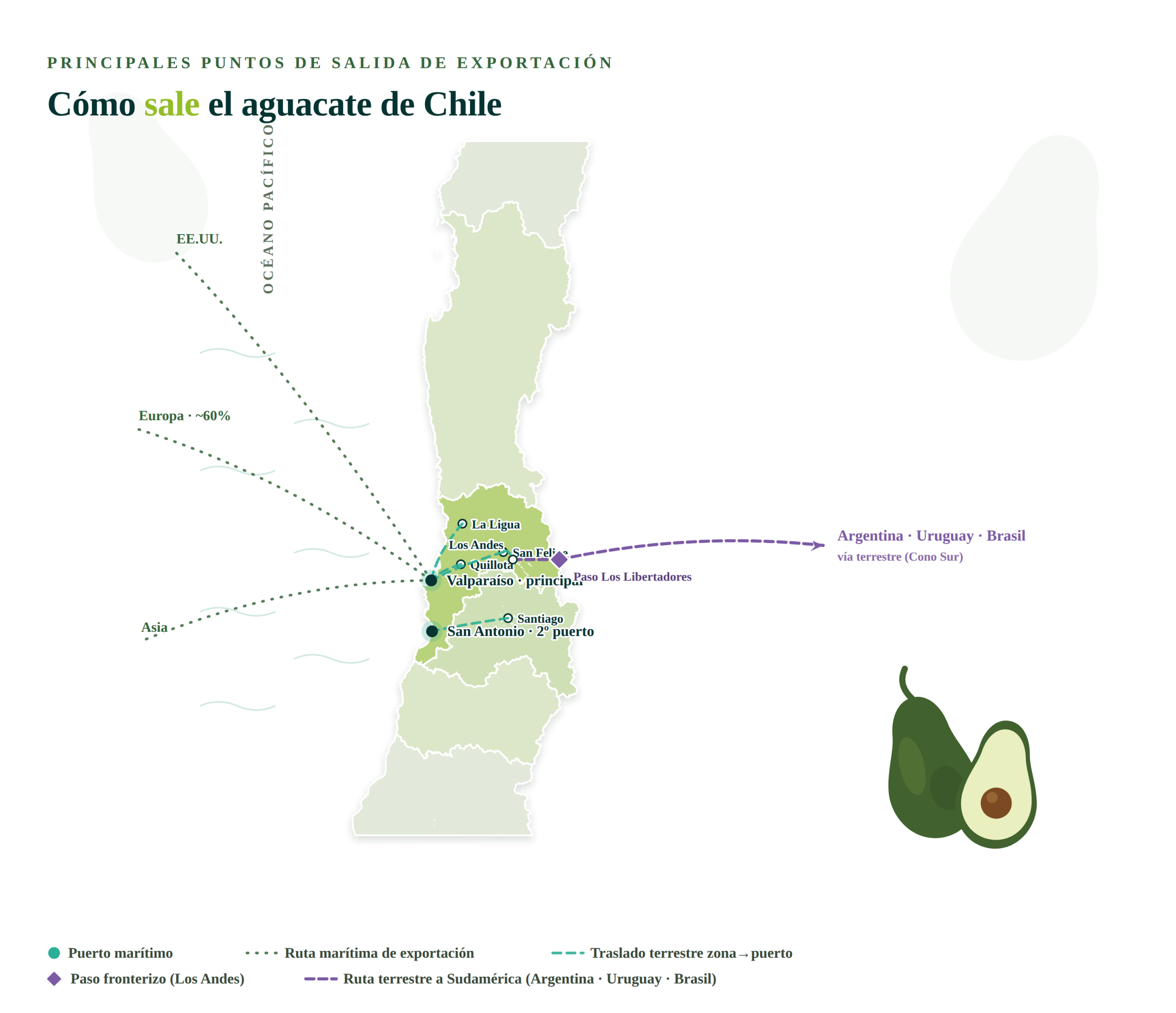 Principales puntos de exportación aguacate Chile