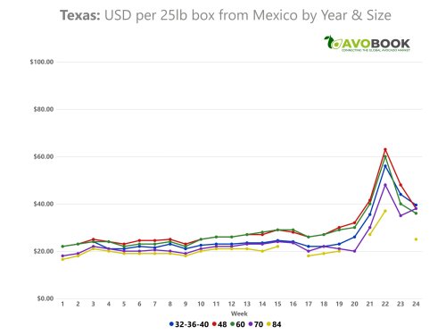 Precios del aguacate se duplican en EE. UU.
