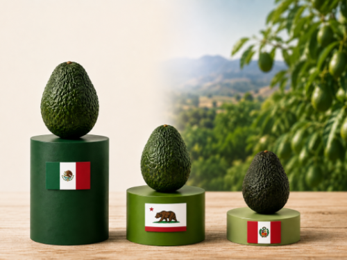 Aguacate en Estados Unidos: ¿Quién complementa la oferta durante el traslape de cosechas de México?