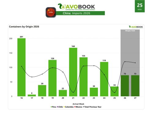 Avocado prices rise in China, but remain below 2025 levels