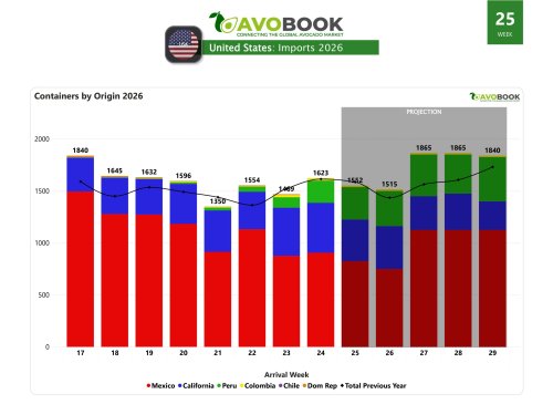 Mexican seasonal overlap impacts prices in the US