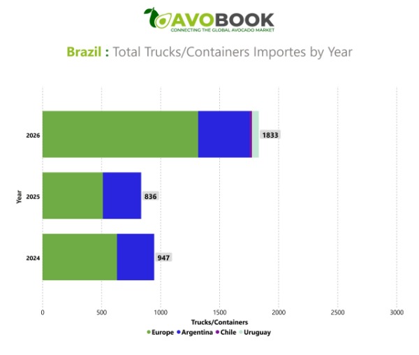 La campaña de aguacate brasileño en 2026 marca un hito de volumen hacia el continente europeo.
