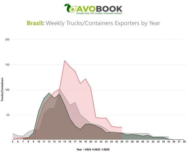 Avobook line chart showing weekly avocado shipments from Brazil between 2024 and 2026, highlighting the peak in week 15.