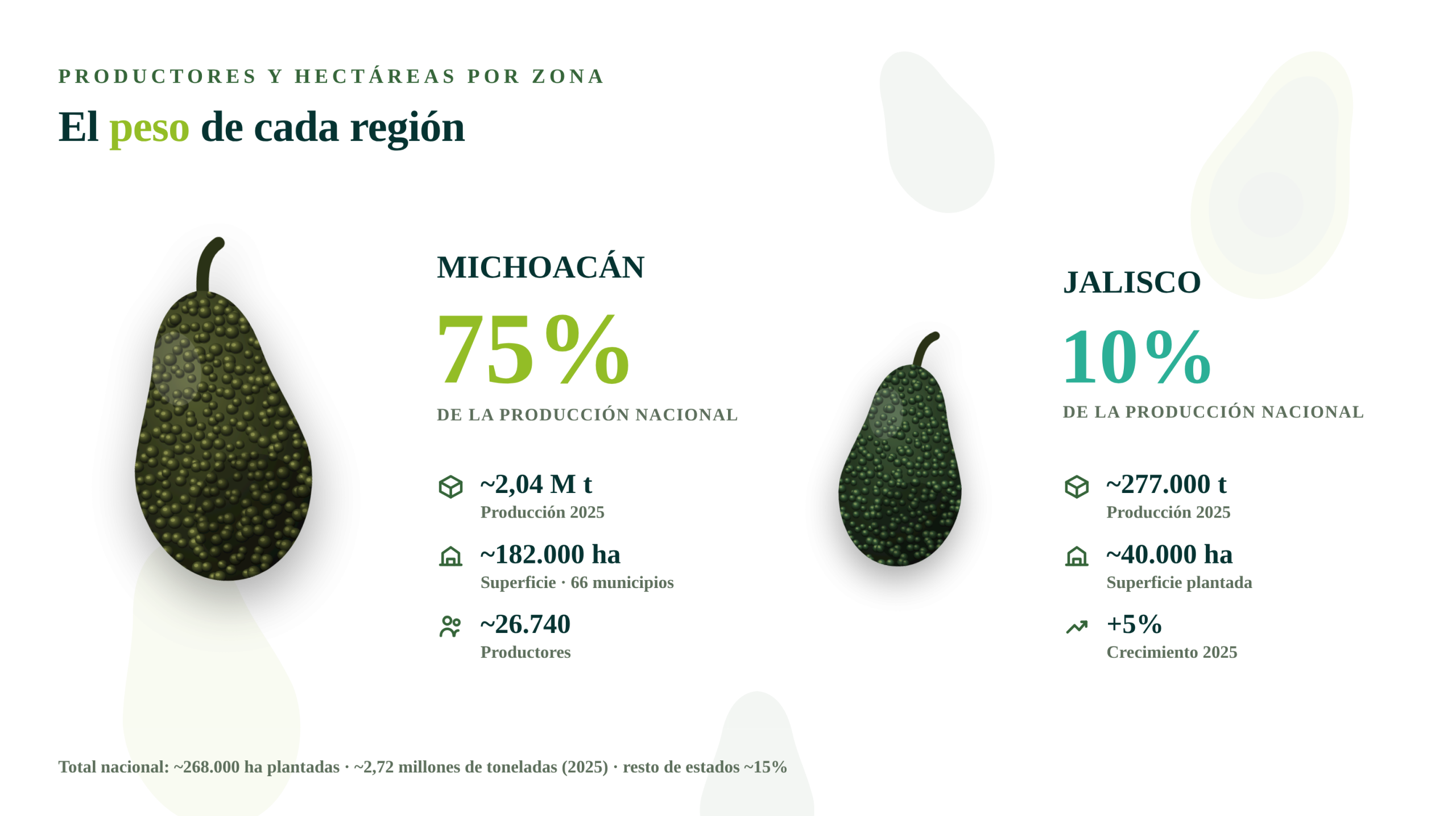 Productores y hectáreas aguacate México