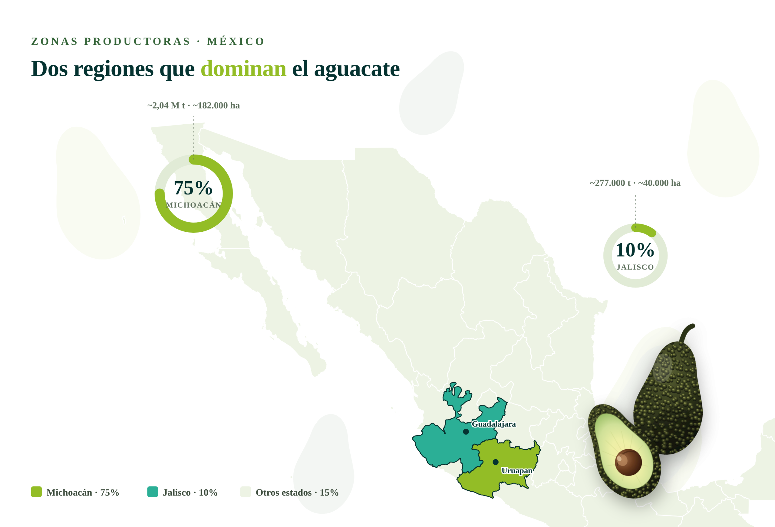 Mapa zonas productivas aguacate México