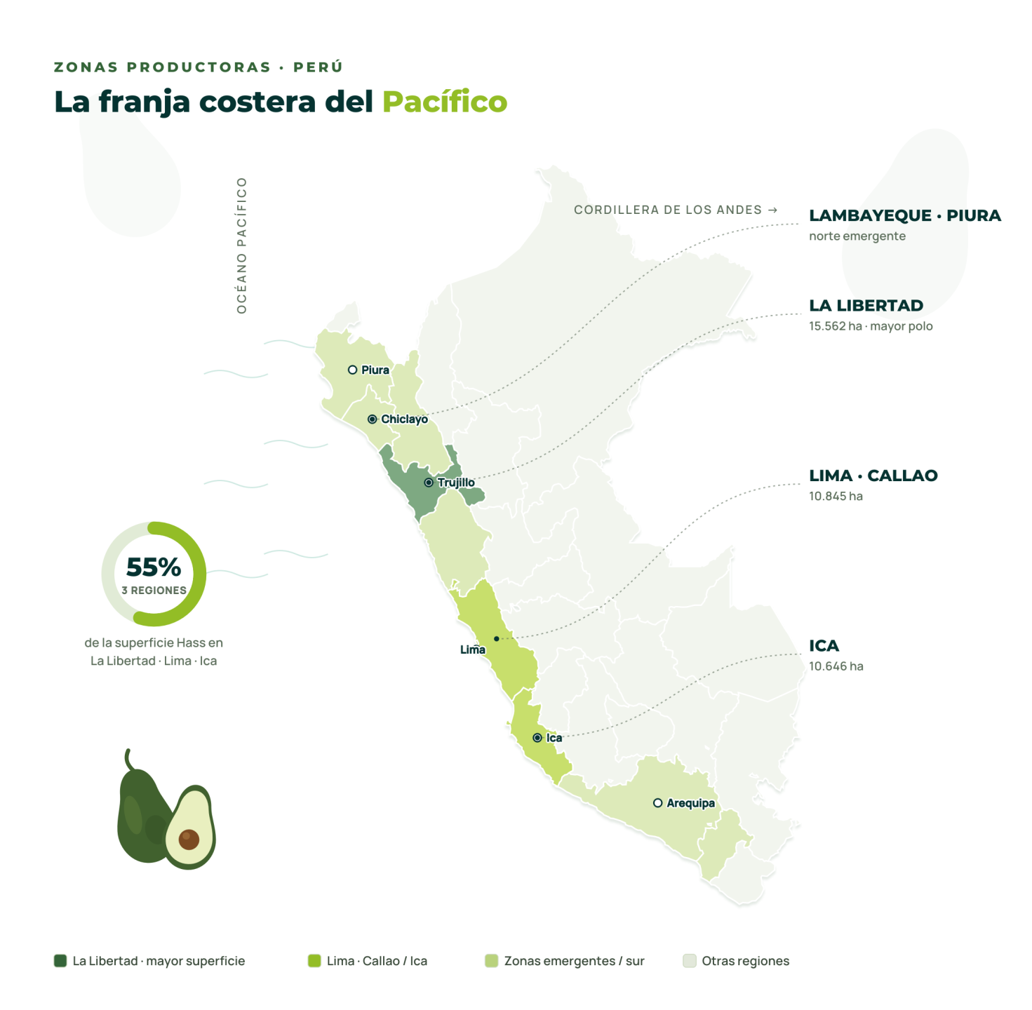 zonas productivas aguacate Perú 