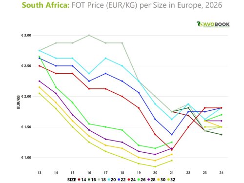 South Africa's numbers at the start of the 2026 season