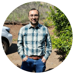 La biodiversidad que habita en un bosque de paltos