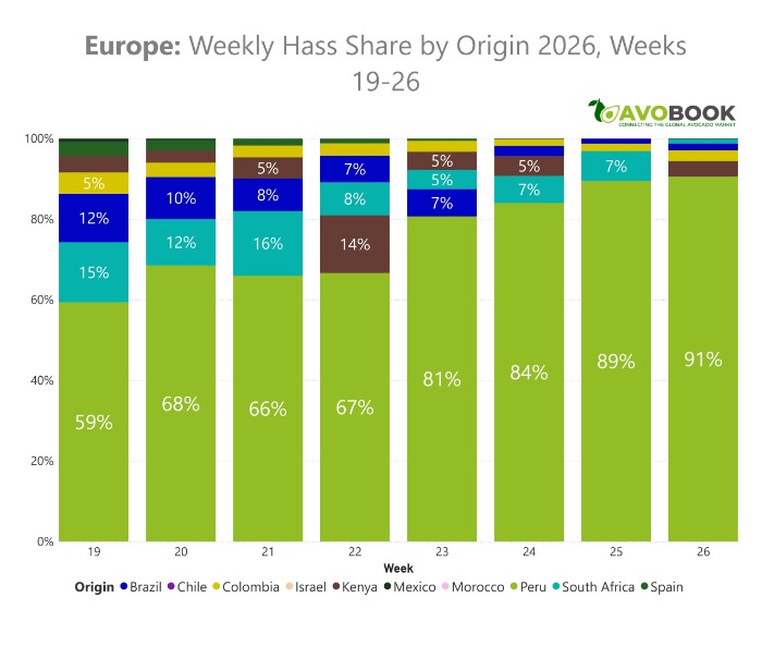 Participación semanal por origen del aguacate Hass en Europa en 2026, destacando el dominio de Perú en la semana 26.