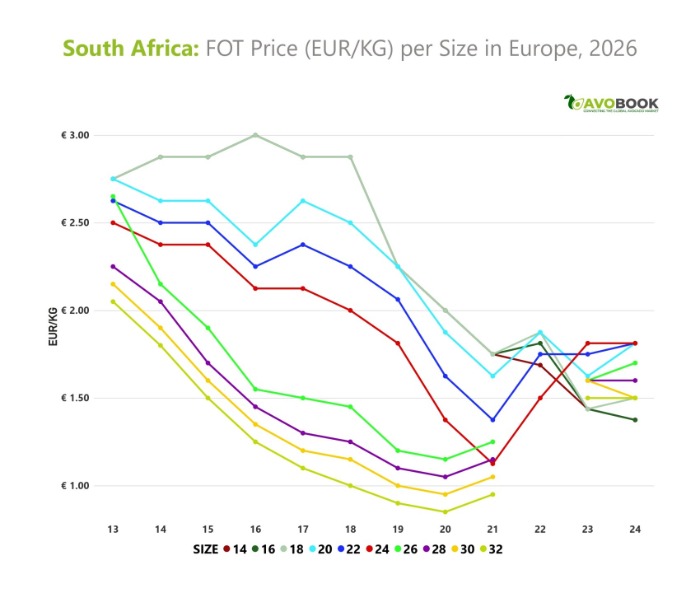 Evolution of FOT prices per kilo of South African avocados in Europe during 2026, broken down by size.