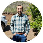 The biodiversity that inhabits an avocado forest