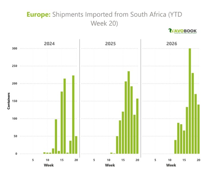 Weekly shipments of avocados imported from South Africa to Europe up to week 20 of the years 2024, 2025 and 2026