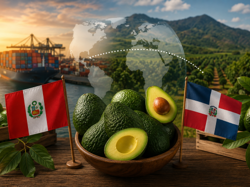 Aguacate dominicano y peruano se complementan en el mercado
