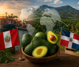 Dominican and Peruvian avocados complement each other in the market